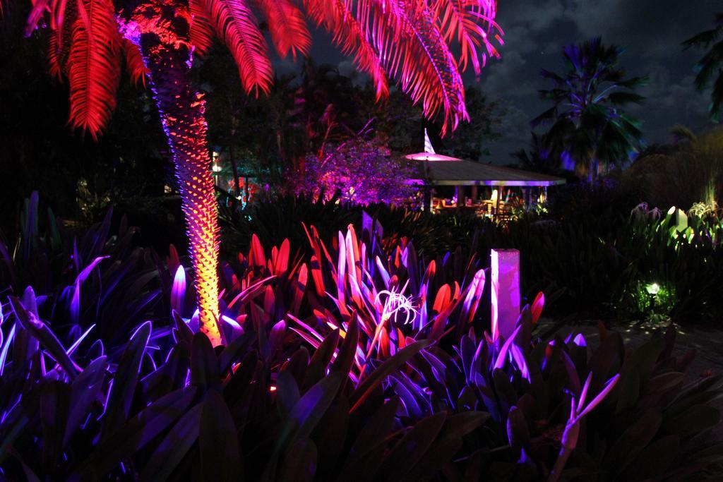 Blue Horizon Boutique Resort (Adults Only) Vieques Exterior photo