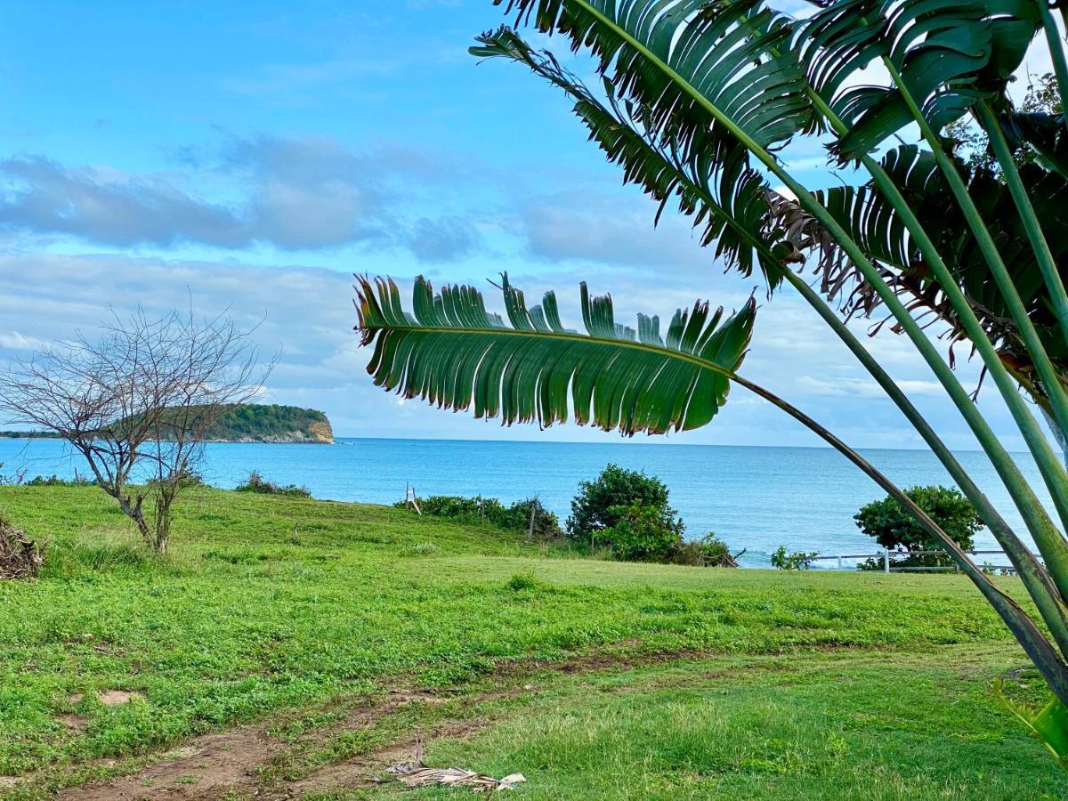 Blue Horizon Boutique Resort (Adults Only) Vieques Exterior photo