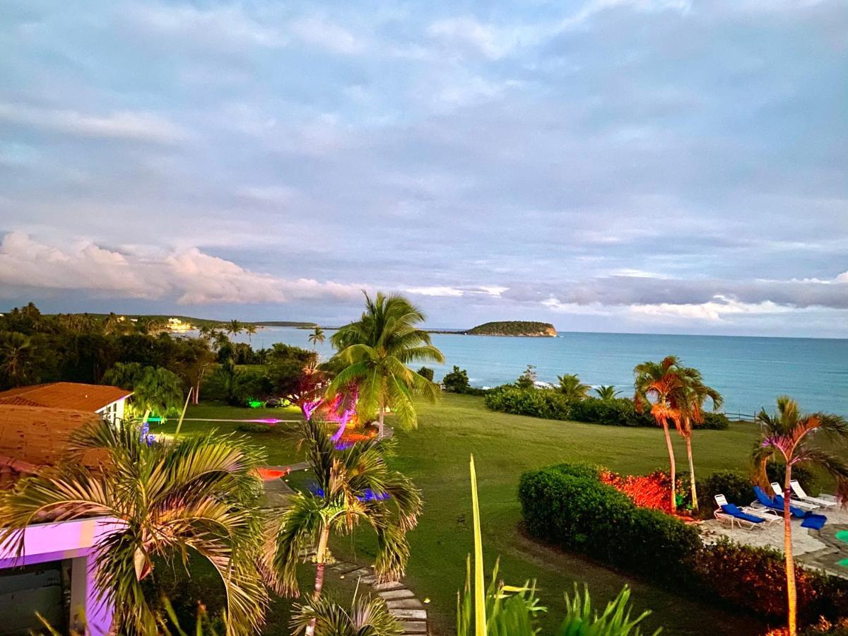 Blue Horizon Boutique Resort (Adults Only) Vieques Exterior photo
