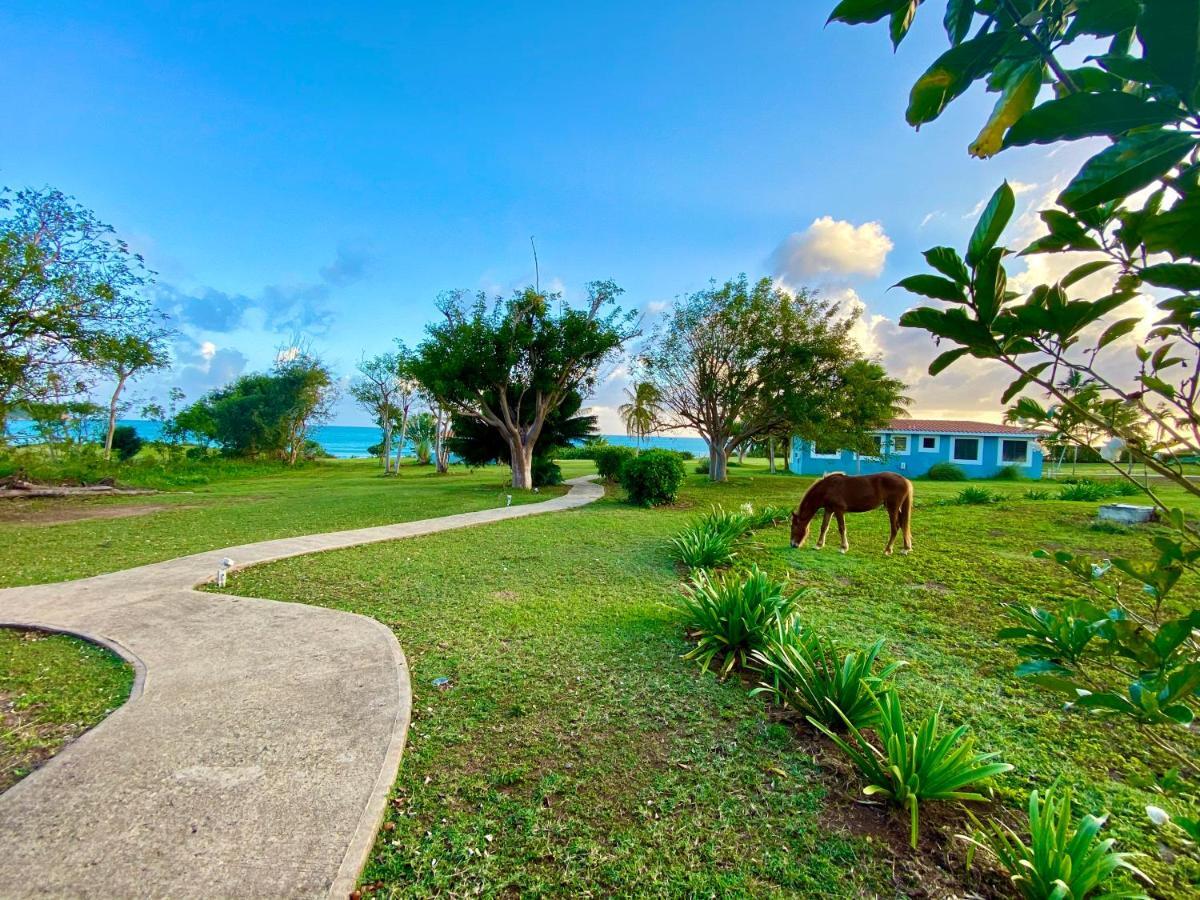 Blue Horizon Boutique Resort (Adults Only) Vieques Exterior photo
