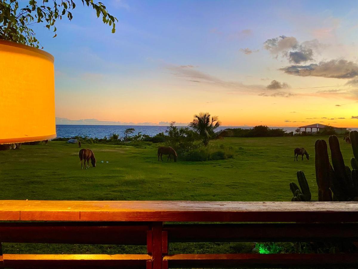 Blue Horizon Boutique Resort (Adults Only) Vieques Exterior photo