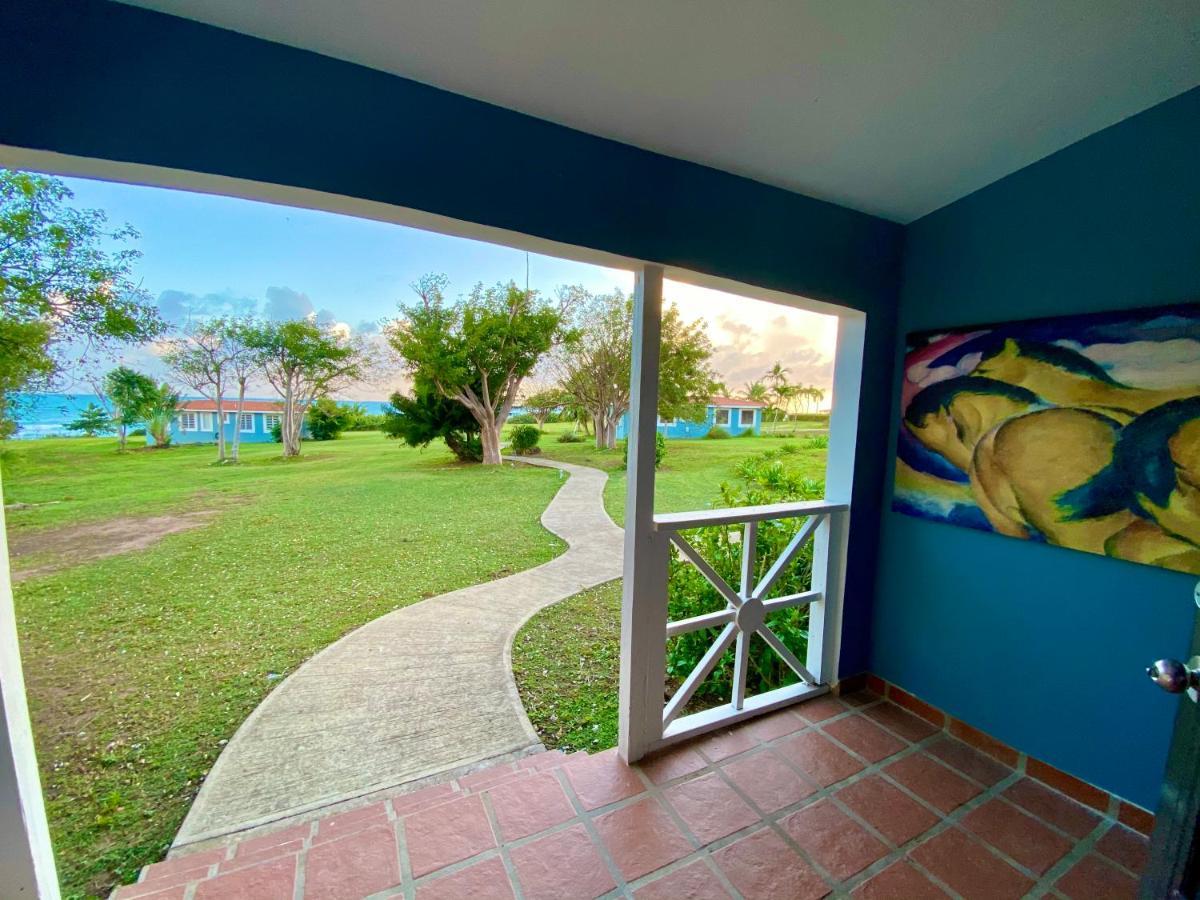 Blue Horizon Boutique Resort (Adults Only) Vieques Exterior photo