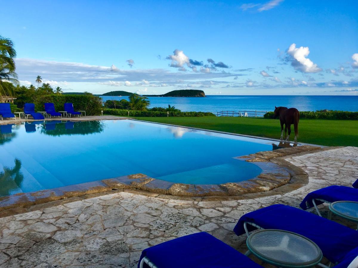 Blue Horizon Boutique Resort (Adults Only) Vieques Exterior photo